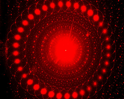Discovery Image